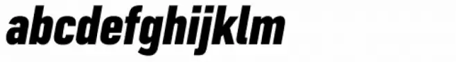 FS Industrie Condensed Black Italic