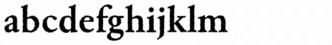 Garamond Rough Pro Bold