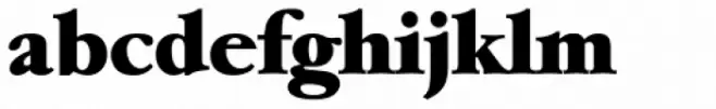 Garamond Serial Heavy