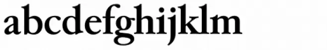 Garamond Serial Medium