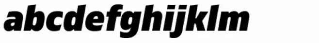 Gilam Black Italic