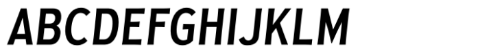 Golden Record Light Italic