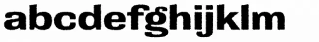 Grange Rough Bold Extended