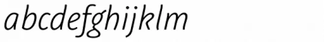 Graublau Sans Display Light Italic