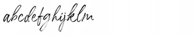 Hipetype Vector Regular