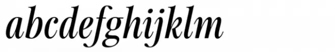 HV Fitzgerald in Berlin Bold Italic