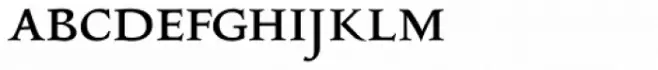 Insekt Biene D