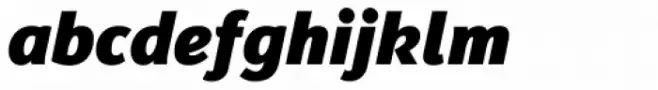 Insider Black Italic