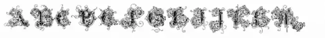 Intellecta Monogram Caps