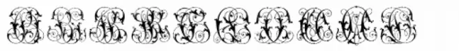 Intellecta Monogram Special Series AE-CZ