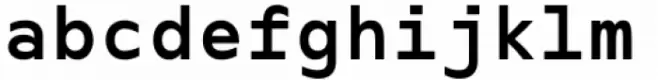Iverse Mono Bold