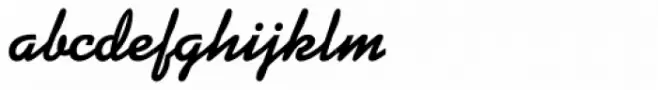 Kaufmann D Bold