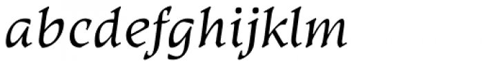 Kyiv Regular Half Italic