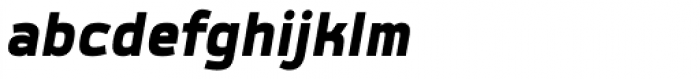 Labrador A Black Italic