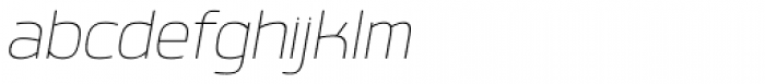 Labrador B Thin Italic
