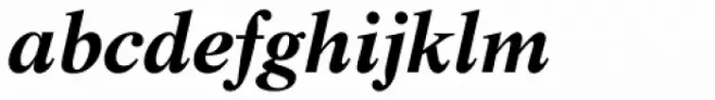 Life Bold Italic