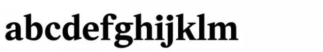 Ligaturess Serif Bold