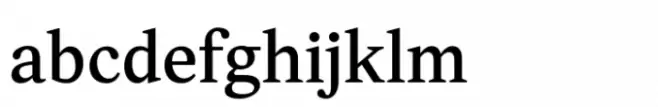 Ligaturess Serif Medium