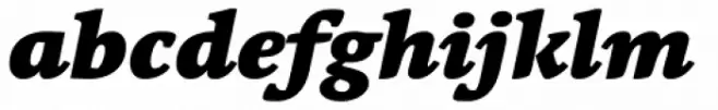 Linotype Syntax Serif Black Italic