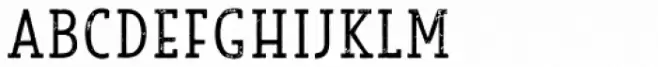 Look Serif Print Light