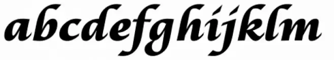 Lucida Calligraphy Std Black