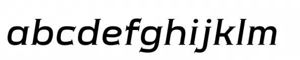 Meguro Serif Medium Italic