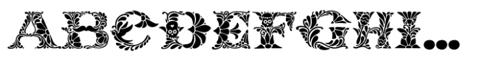 Mexican Pattern Regular