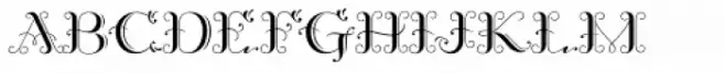 MFC Patisserie Monogram Regular