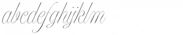 Model Standard Two