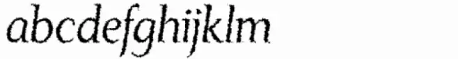Monkton Aged Italic
