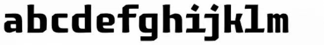Monogamma Bold