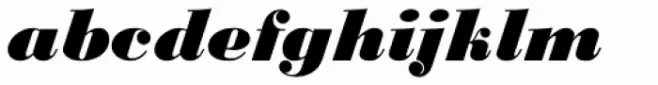 Monotype Bodoni Std Black Italic