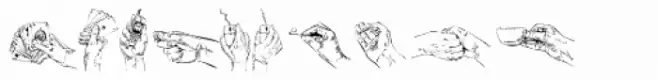 My Hands