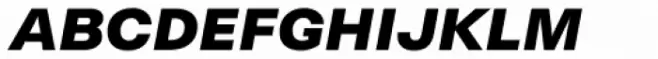 Neogrotesk Small Caps Black Italic