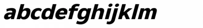 Netadyne Bold Italic