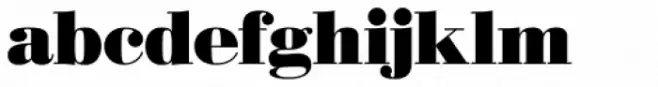 New Bodoni DT Black