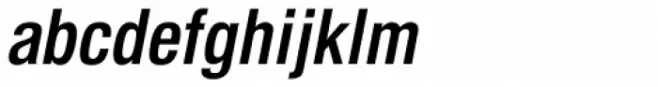 Newhouse DT Condensed Bold Oblique