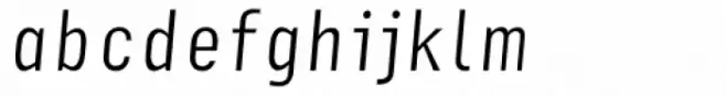 Newsletter Light Italic