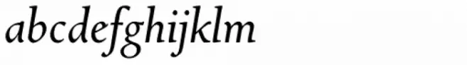 Newstyle Italic