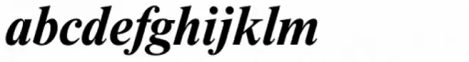 Newton Bold Italic