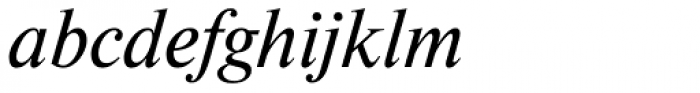 Newton Italic