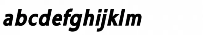 Ninova Pro Black Italic Con