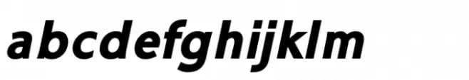 Ninova Pro Black Italic
