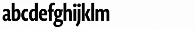 Novel Display Extra Bold Extra Compressed