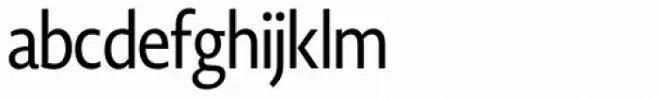 Novel Display Medium Extra Condensed