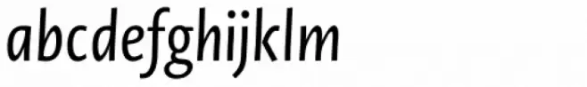 Novel Sans Condensed Pro Italic