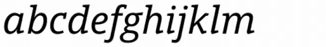 Open Serif Italic