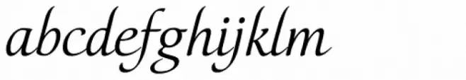 Orbi Calligraphic Two