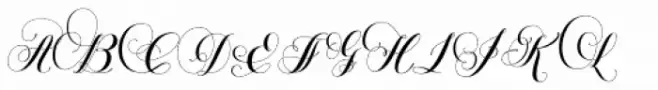 Petunia Monogram