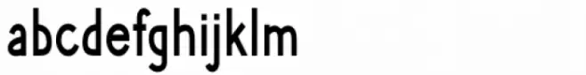 Phlebodium Condensed Bold